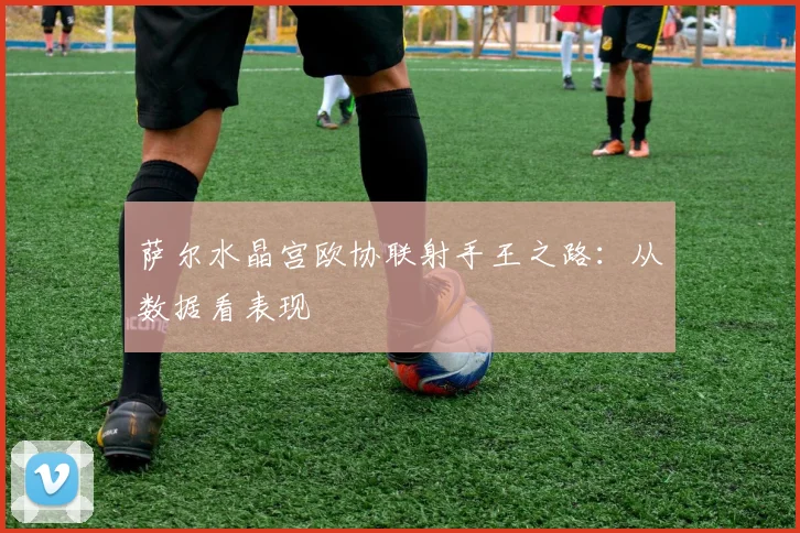 萨尔水晶宫欧协联射手王之路：从数据看表现