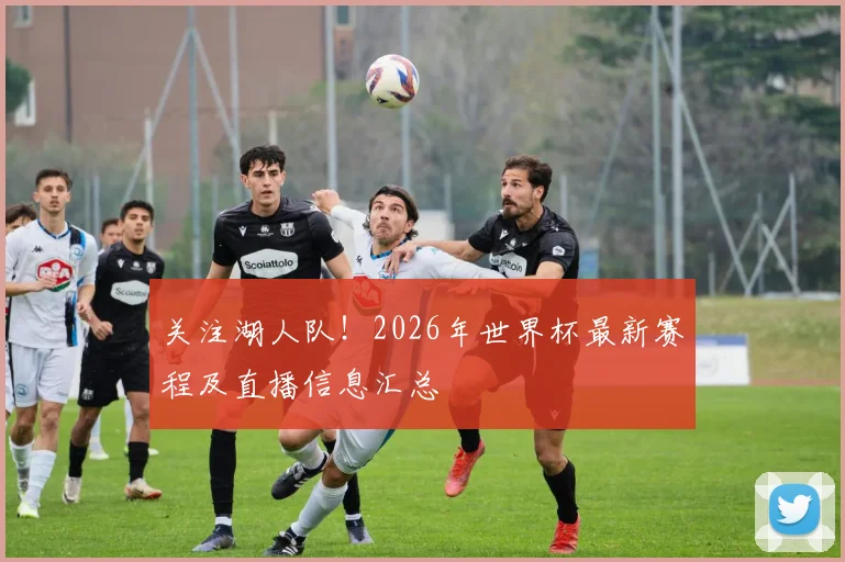关注湖人队！2026年世界杯最新赛程及直播信息汇总